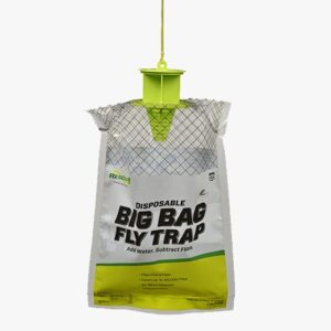Fly Trap, Big Bag