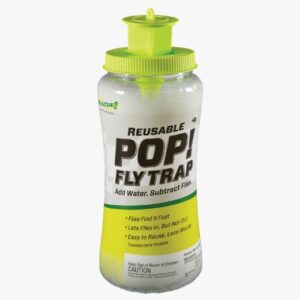 Fly Trap, POP! Fly